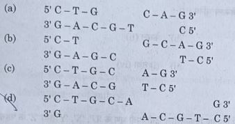 CBSE Class 12 Biology Answer Key 2023 and Question Papers